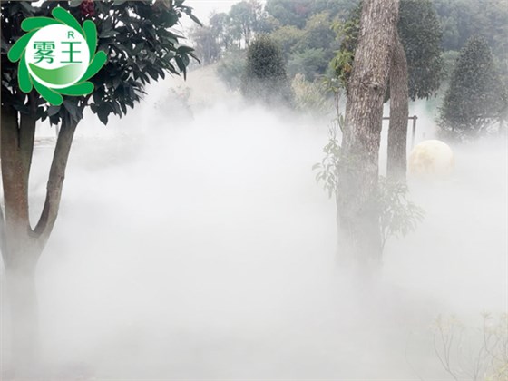 咖啡店湖面霧森系統 (3)