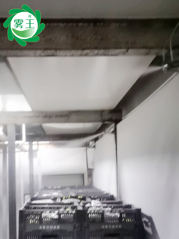 古茗水果冷庫(kù)干霧加濕器加濕 (3)