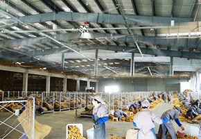 霧王為四川攀枝花煙草公司提供煙葉工廠倉庫噴霧加濕系統方案 霧王為四川攀枝花煙草公司提供煙葉工廠倉庫噴霧加濕系統方案