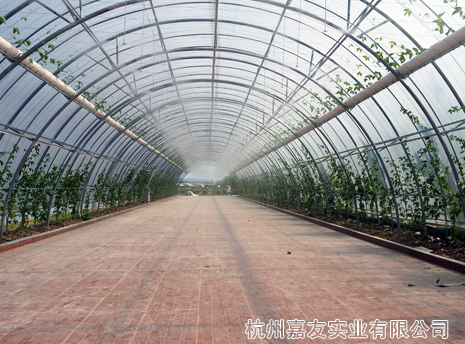 霧王浙江米果果小鎮噴霧降溫造景案例 霧王浙江米果果小鎮噴霧降溫造景案例