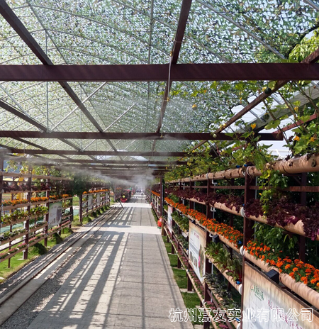 米果果小鎮噴霧降溫視頻 米果果小鎮噴霧降溫視頻